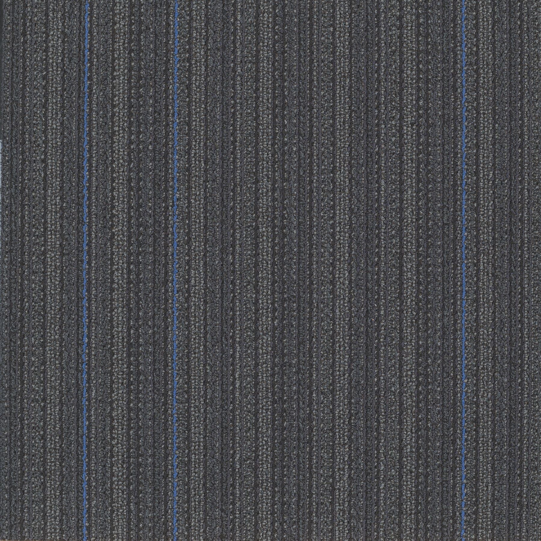 Site lines col. 38505 Mine your past